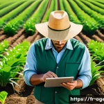 농업환경기술자 해외 사례 연구 - A modern Spanish agricultural farm landscape featuring rows of crops monitored by advanced smart sen...