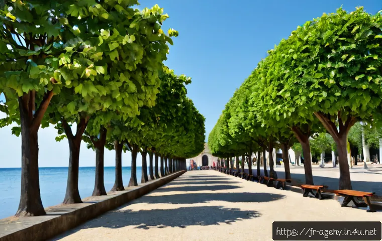 Réussir un examen de technicien en environnement agricole : repérer les formats de questions et choisir sa préparation 4 농업환경기술자 시험 문제 유형 파악법 관련 이미지 2